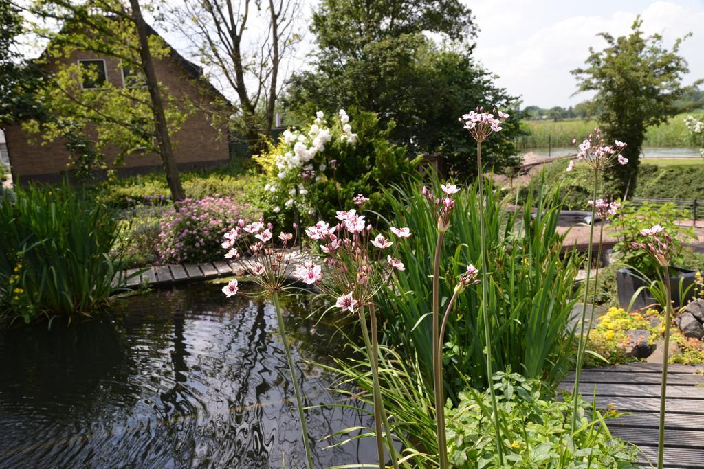 Guest House Aan De Hollandse Ijssel Montfoort Zewnętrze zdjęcie